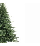 Christmas Tree - Abies - Green Full Trees Christmas Tree - Abies - Green Full Trees