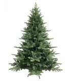 Christmas Tree - Abies - Green Full Trees Christmas Tree - Abies - Green Full Trees
