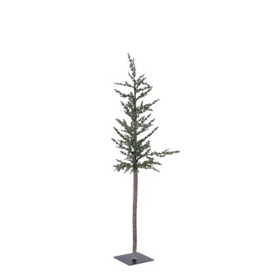 Decorative Tree - Pine Decorative Tree - Pine