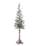 Decorative Snow Tree - Gelbison Pine