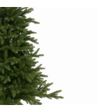 Christmas Tree - Montreal - Green Christmas Full Trees