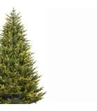 Christmas Tree with light - Mountain Spruce - Green Christmas Trees with Lights 