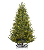 Christmas Tree with light - Mountain Spruce - Green Christmas Trees with Lights 