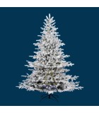 Christmas Tree with Snow/Lights - Edel Spruce Christmas Trees with Lights 