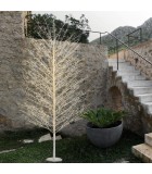 Φωτιζόμενο δέντρο κλαδιών - Tilia - Ζεστό Λευκό/Λευκά Κλαδιά