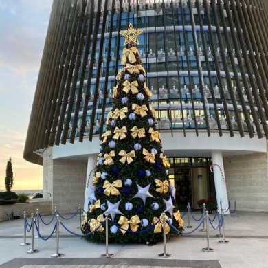 Outdoor Christmas Tree Vivaldi