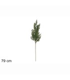 Natural Decorative Branch - 79cm