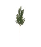Natural Decorative Branch - 79cm