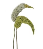 Artificial Branch - Tail - Green - 138cm