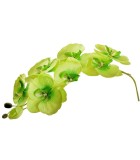 Artificial Orchid - Single - Fuxia