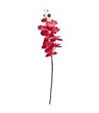 Artificial Orchid - Single - Fuxia