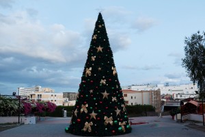 Christmas Tree Decoration at University of Nicosia